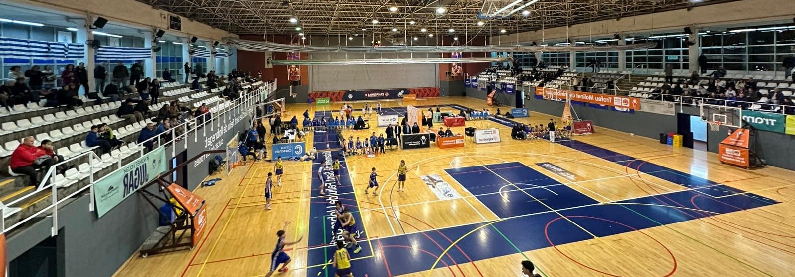 55012620019_f762db8fef_o